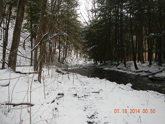 mlk and misc 01-20-2014 014.jpg -         Scenic 3                      